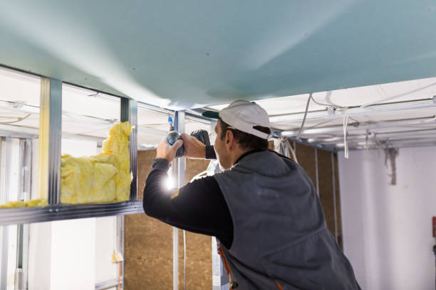 Best Wall Insulation Contractor  in Central City, NE