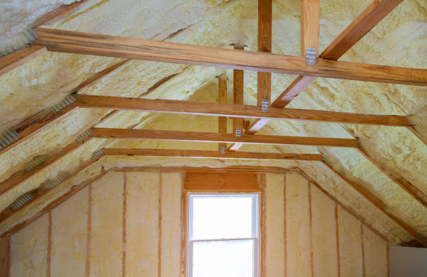 Best Spray Foam Insulation  in Central City, NE