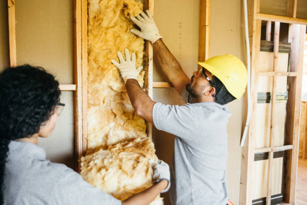 Best Insulation Replacement Services  in Central City, NE