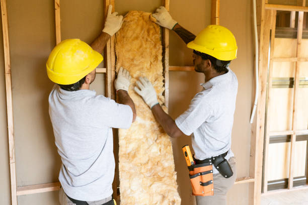 Best Insulation Repair Services  in Central City, NE