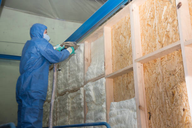 Best Home Insulation Services  in Central City, NE