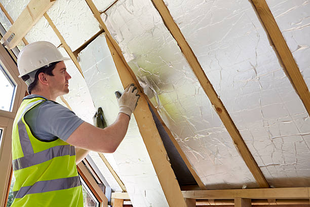 Best Professional Insulation Contractor  in Central City, NE