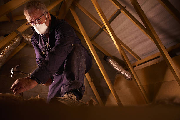 Best Insulation Inspection Services  in Central City, NE
